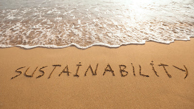 The Importance of Sustainable Fashion
